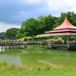 Concerts and Nature Along MacRitchie Reservoir Trails