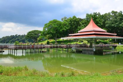Concerts and Nature Along MacRitchie Reservoir Trails