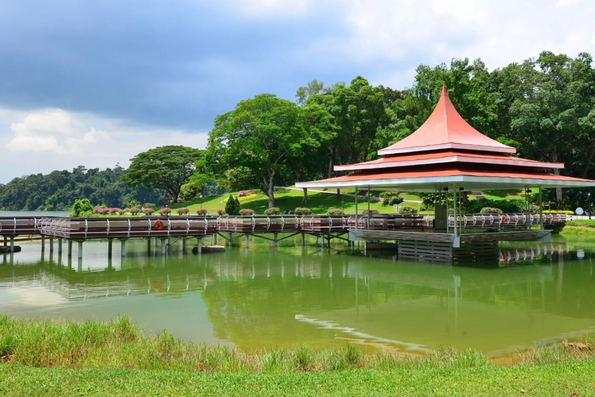 Concerts and Nature Along MacRitchie Reservoir Trails