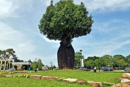 From Australian Flora to Community Hub: What Yishun Lost When the Park Closed
