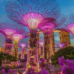 From Marina City Park to City in a Garden: Building Singapore's Billion Dollar Project