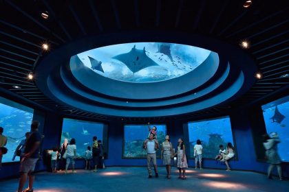 Inside the Maritime Journey at Singapore Oceanarium