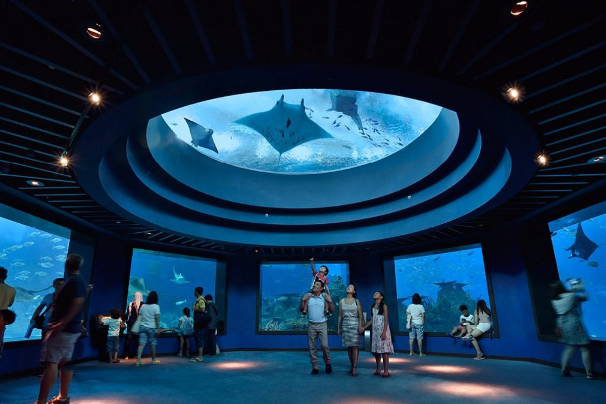Inside the Maritime Journey at Singapore Oceanarium