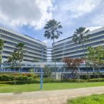 The Birthquake Hospital: How KK Delivered 1.2 Million Singaporeans Since 1924